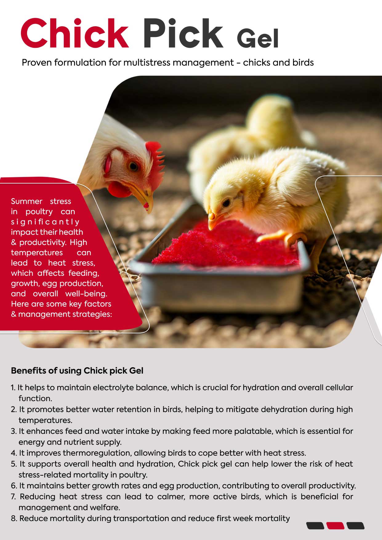 Chick Pick Gel